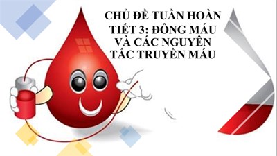 Chủ đề tuần hoàn - Tiết 3: Đông máu và các nguyên tắc truyền máu